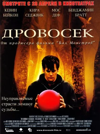 Постер Дровосек (2004)
