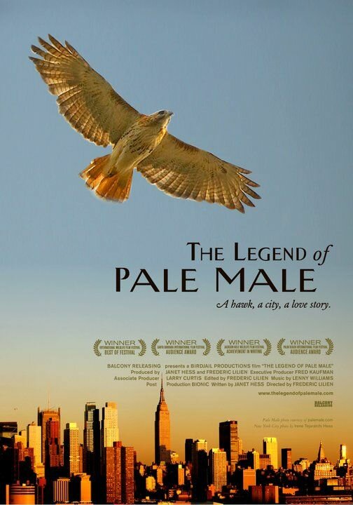 Постер фильма The Legend of Pale Male