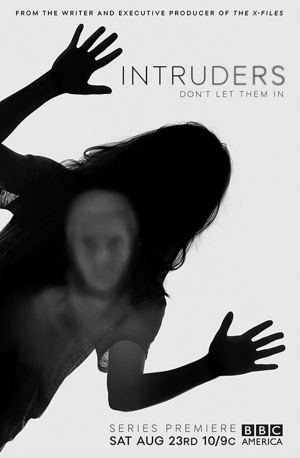 Постер сериала Злоумышленники