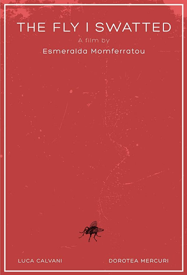 Постер фильма The Fly I Swatted