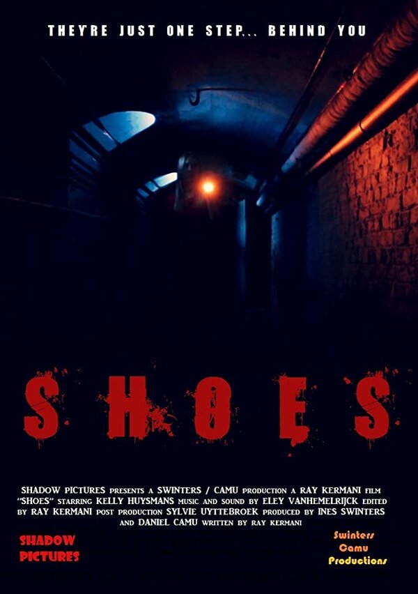 Постер фильма Shoes
