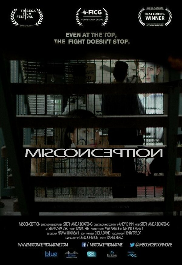 Постер фильма Misconception