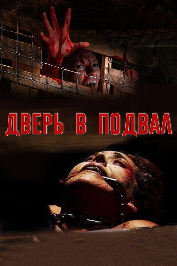 Постер фильма Дверь в подвал