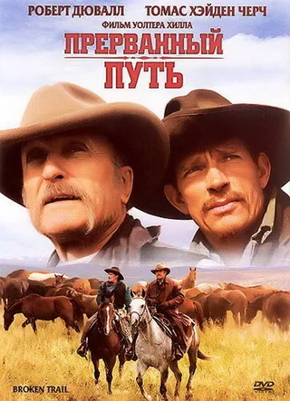 Постер Прерванный путь (2006)