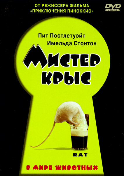Постер фильма Мистер крыс