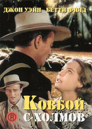 Постер Ковбой с холмов (1941)