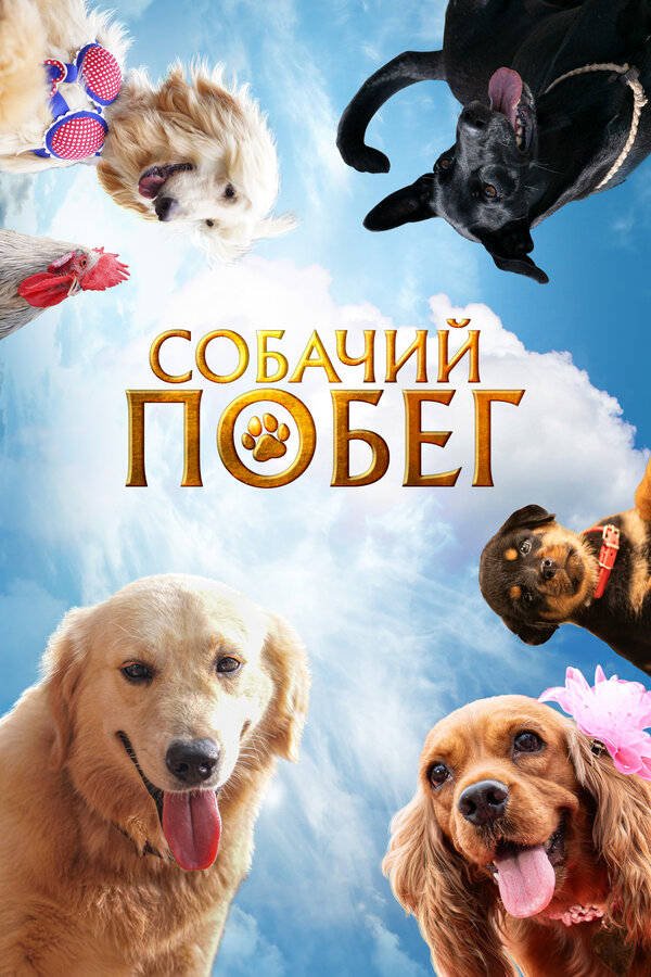 Постер фильма Собачий побег
