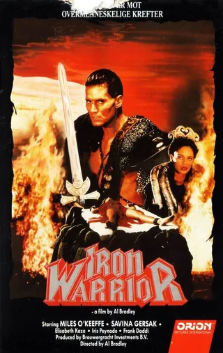 Постер Стальной воин (1987)