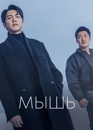 Мышь