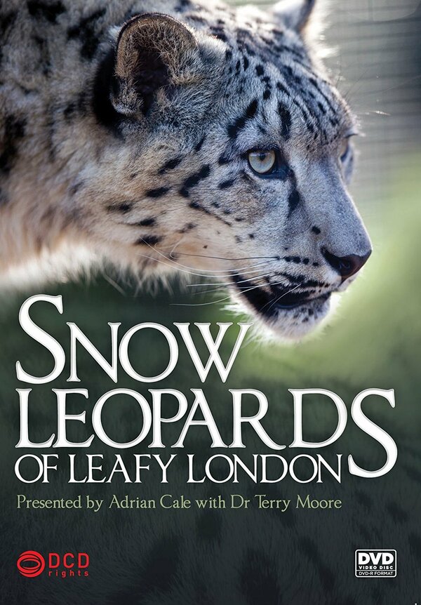 Постер сериала Snow Leopards of Leafy London