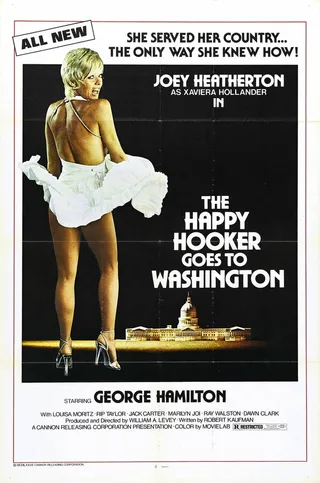 Постер Счастливая проститутка едет в Вашингтон (1977)