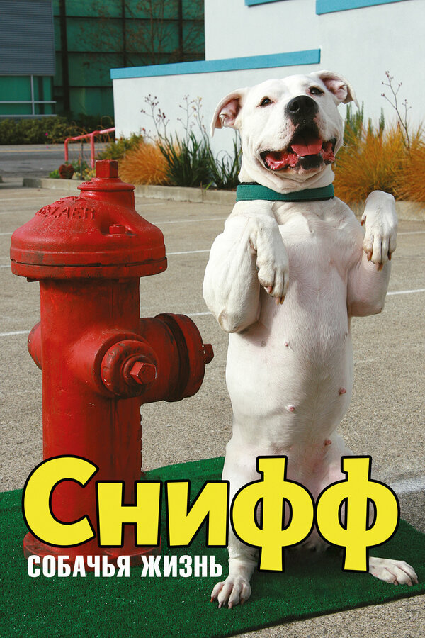 Постер фильма Снифф: Собачья жизнь
