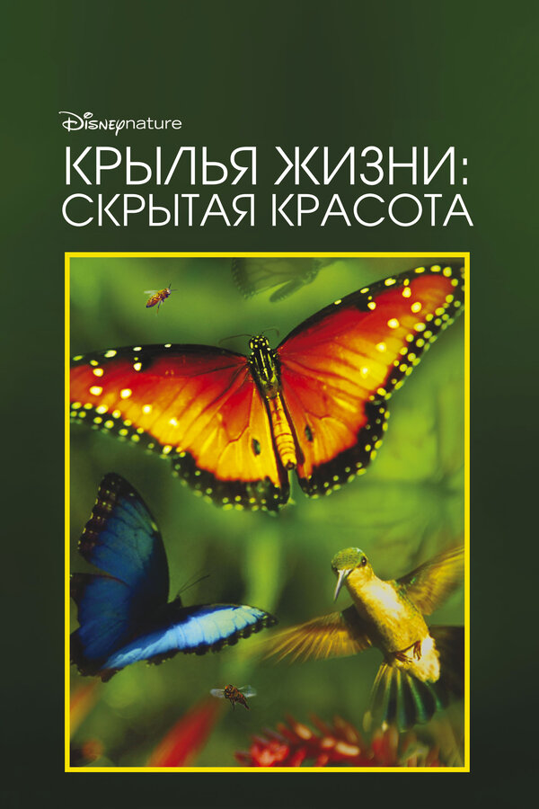 Постер фильма Крылья жизни: Скрытая красота