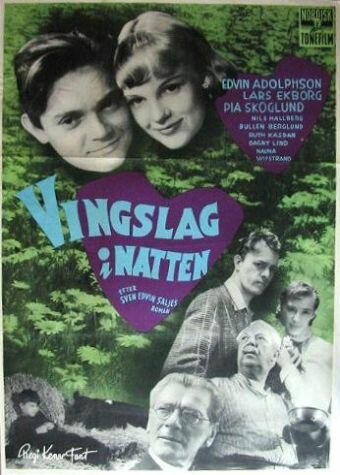 Постер фильма Vingslag i natten