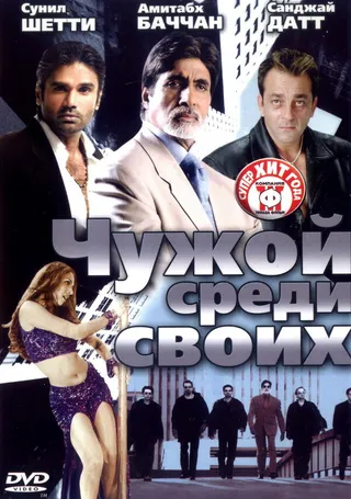 Постер Чужой среди своих (2002)