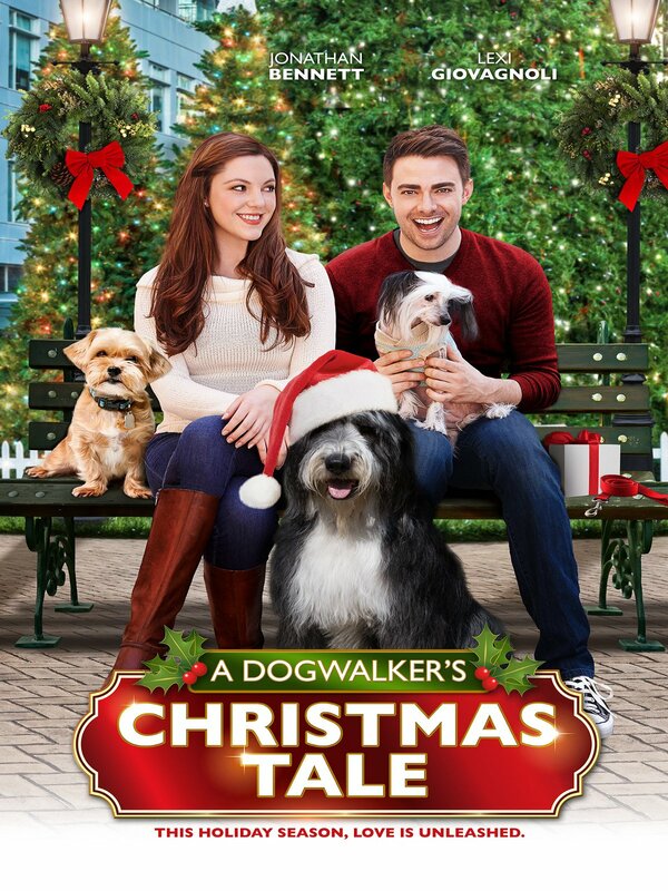 Постер фильма A Dogwalker's Christmas Tale