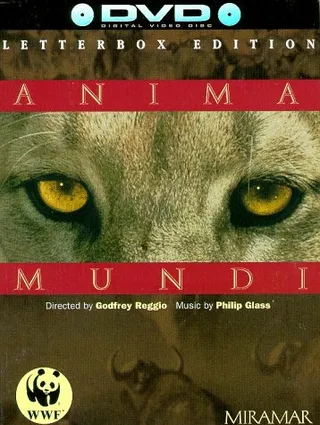 Постер Душа мира (1991)