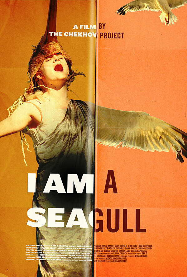 Постер фильма I Am a Seagull