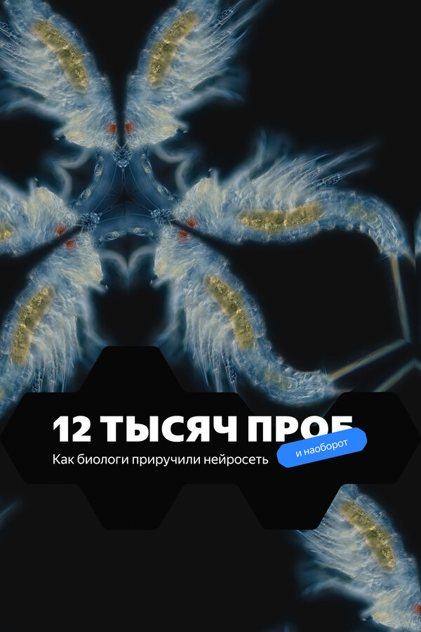 Постер фильма 12 тысяч проб