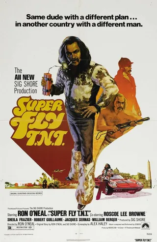 Постер Возвращение Суперфлая (1973)