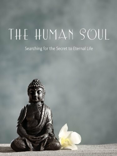 Постер фильма The Human Soul