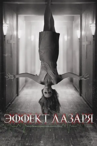 Постер Эффект Лазаря (2013)