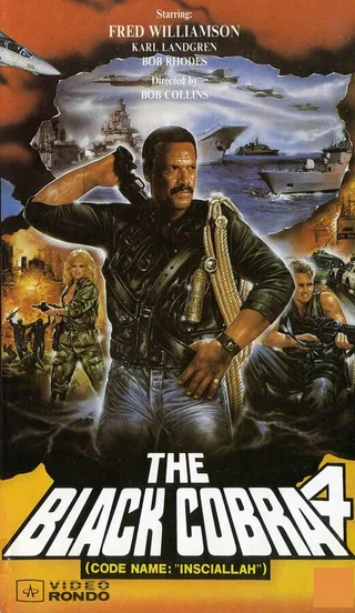 Постер Детектив Мэлоун (1991)
