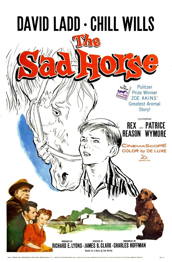 Постер фильма The Sad Horse