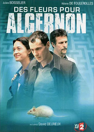 Постер Цветы для Элджернона (2006)