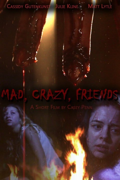 Постер фильма Mad, Crazy, Friends