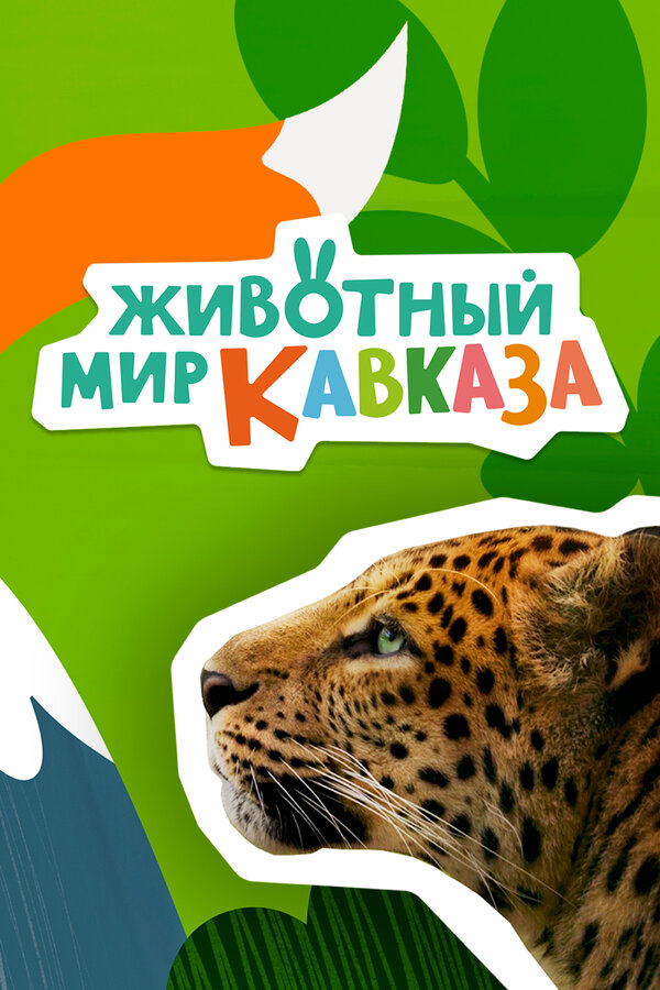 Постер сериала Животный мир Кавказа