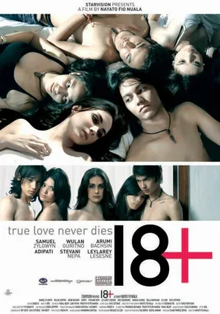 Постер 18+ (2010)