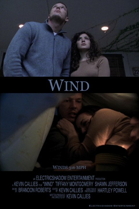 Постер фильма Wind