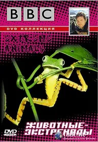 BBC: Животные-экстремалы