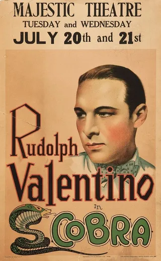 Постер Кобра (1925)