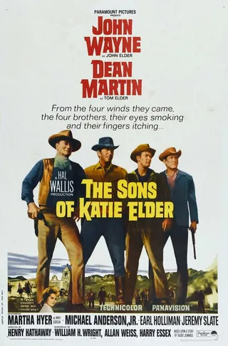 Постер Сыновья Кэти Элдер (1965)