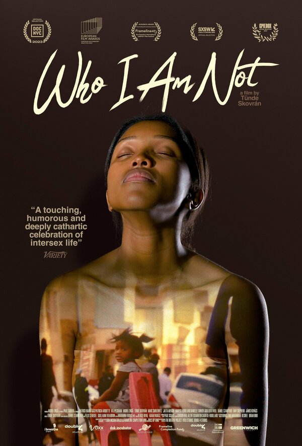 Постер фильма Who I Am Not