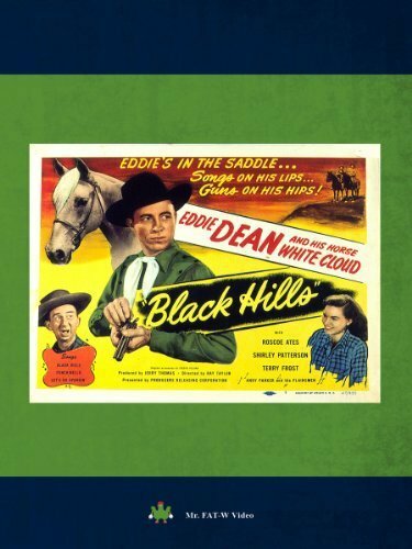 Постер фильма Black Hills