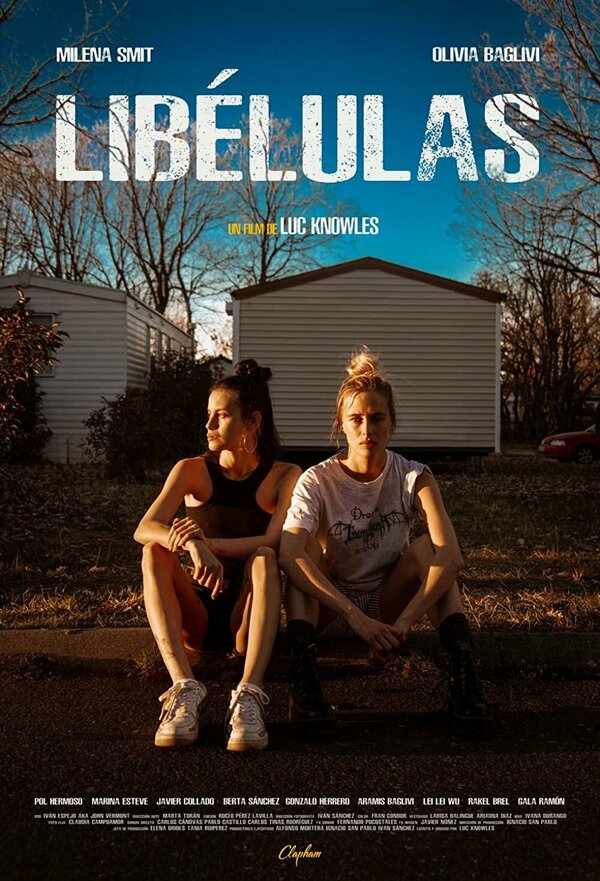 Постер фильма Стрекозы