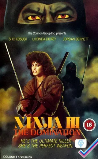 Постер Ниндзя III: Господство (1984)