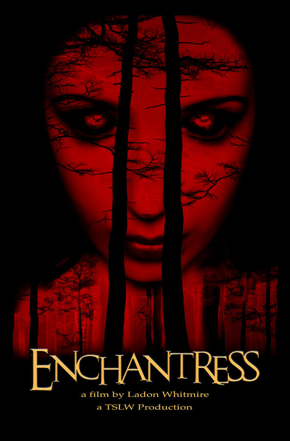 Постер фильма Enchantress