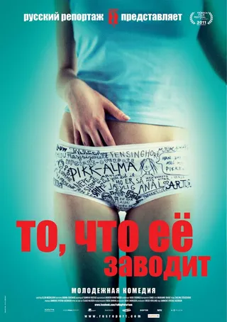 Постер То, что её заводит (2011)