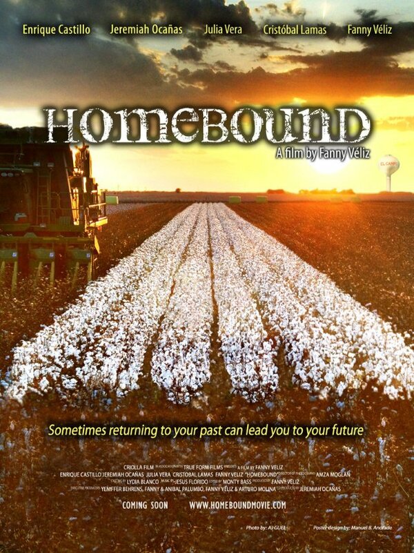 Постер фильма Homebound
