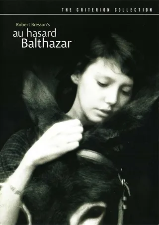 Постер Наудачу, Бальтазар (1966)