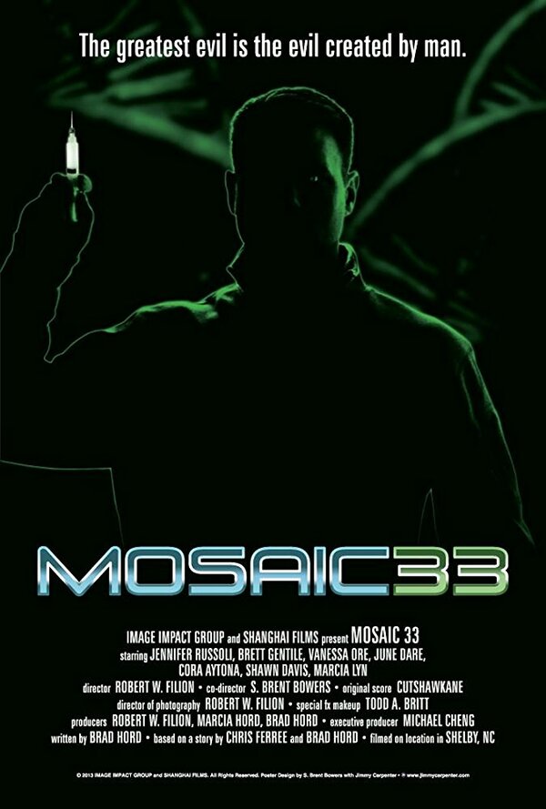 Постер фильма Mosaic 33