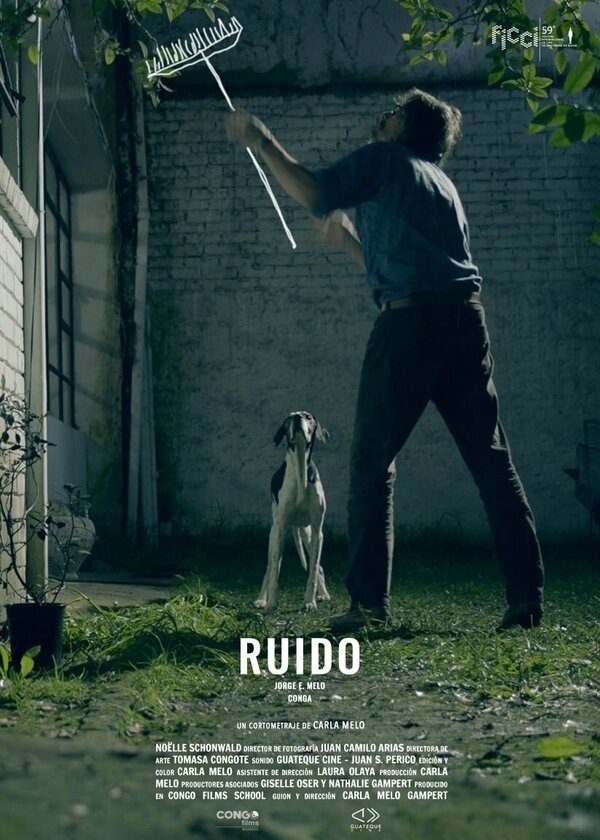 Постер фильма Ruido