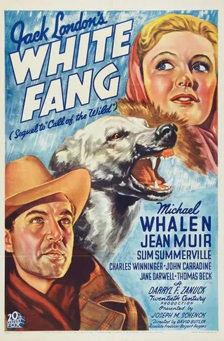 Постер Белый клык (1936)