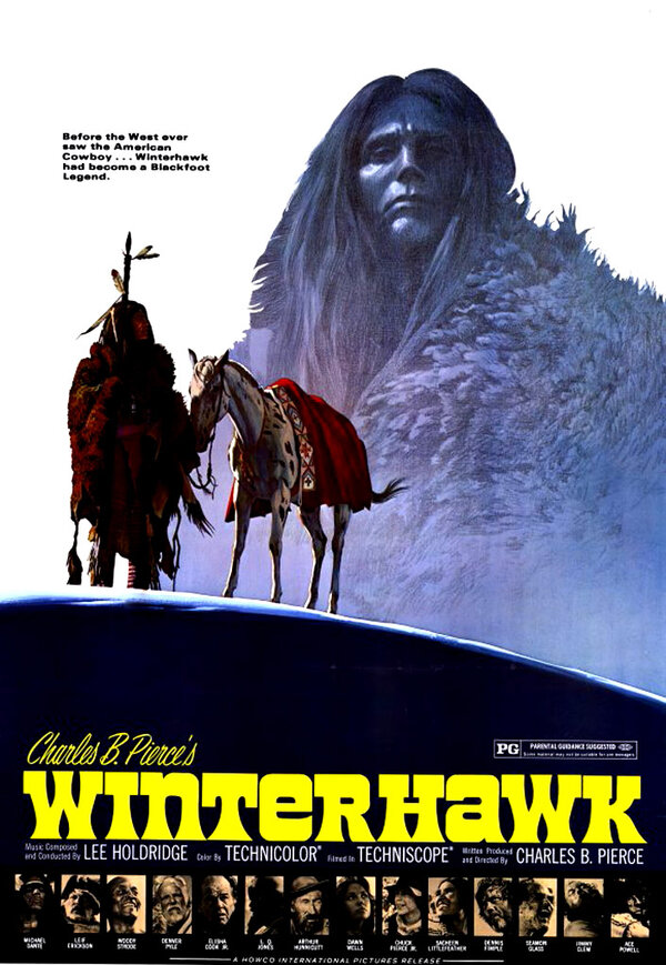 Постер фильма Зимний ястреб