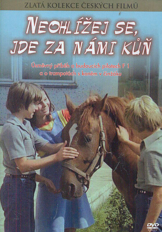 Постер фильма Не оглядывайся, за нами лошадь!