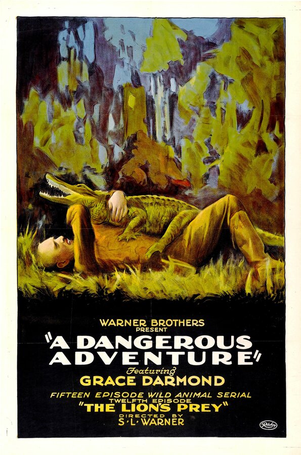 Постер фильма A Dangerous Adventure